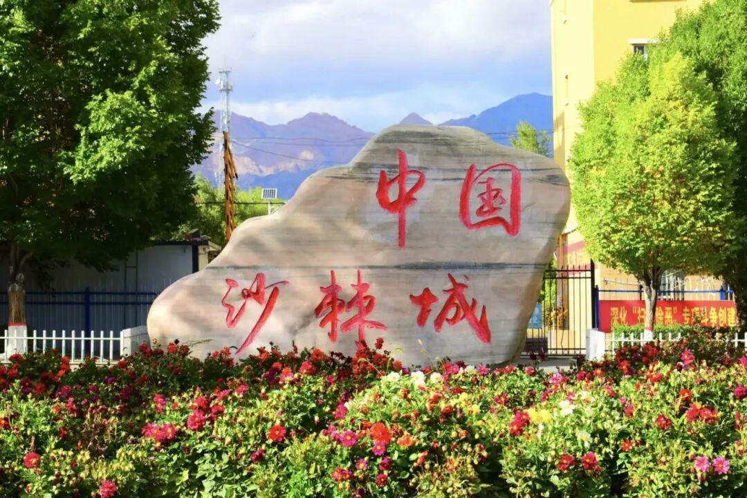 微信图片_2025-08-29_194622_752.jpg
