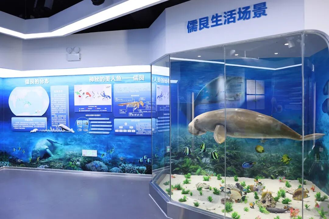 2025广西合浦儒艮国家级自然保护区首届文化创意设计大赛-CNYISAI艺赛 | 翕然艺术