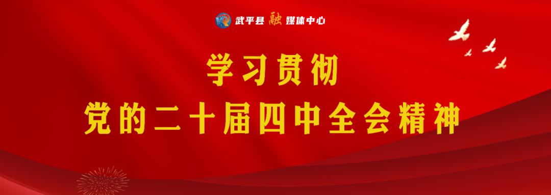 武平紫灵芝品牌名称及LOGO设计方案征集公告-CNYISAI艺赛 | 翕然艺术