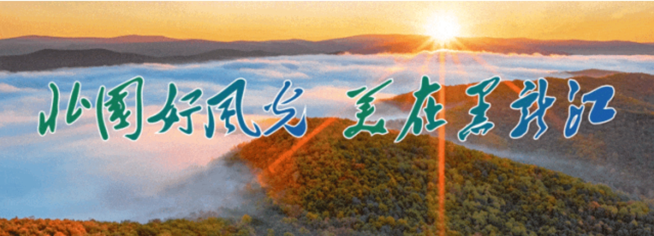 2025冰雪促消费“龙江文旅惠民卡”设计征集方案-CNYISAI艺赛 | 翕然艺术