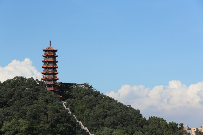 深圳红花山公园品牌IP及Slogan征集竞赛-CNYISAI艺赛 | 翕然艺术